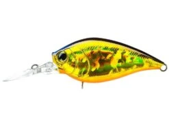 Hardcore Crank MR 60F Medium Crankbait 19 Hardcore Crank MR 60F Medium Crankbait -Fishing Promotion Store R1364 HGSN