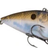 Strike King Red Eyed Shad 1/4 Oz. Lipless Crankbait 2 Strike King Red Eyed Shad 1/4 Oz. Lipless Crankbait -Fishing Promotion Store REYESD 583 aef8624f 4b7e 49ab 8366 99292062d3a8