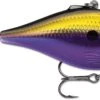 Rapala Rippin' Rap 07 Lipless Crankbait 1 Rapala Rippin' Rap 07 Lipless Crankbait -Fishing Promotion Store RPR BLS 1 798cba51 efce 436a 9ce0 935515656929