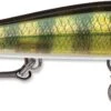 Rapala RipStop 12 Jerkbait 1 Rapala RipStop 12 Jerkbait -Fishing Promotion Store RPS12 PEL