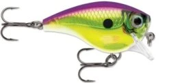Rapala BX Brat 03 Square Bill Crankbait 28 Rapala BX Brat 03 Square Bill Crankbait -Fishing Promotion Store Rock Solid 2810c907 3638 4f31 8170 a2c37b8180f0