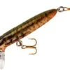 Rebel Hellgrammite 1 3/4 Inch Sinking Ultralight Crankbait 2 Rebel Hellgrammite 1 3/4 Inch Sinking Ultralight Crankbait -Fishing Promotion Store S72275