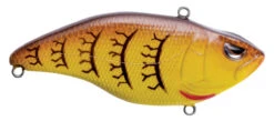 SPRO Aruku Shad Jr. Lipless Crankbait 34 SPRO Aruku Shad Jr. Lipless Crankbait -Fishing Promotion Store SAS60SCW SpringCraw