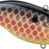 SPRO Aruku Shad 75 Lipless Crankbait 1 SPRO Aruku Shad 75 Lipless Crankbait -Fishing Promotion Store SAS75GDG GoldenDragon