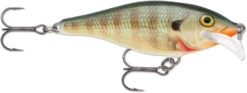 Rapala Scatter Rap Shad 07 Medium Diving Crankbait 20 Rapala Scatter Rap Shad 07 Medium Diving Crankbait -Fishing Promotion Store SCRS BG