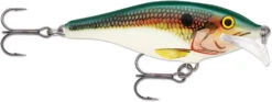 Rapala Scatter Rap Shad 07 Medium Diving Crankbait 29 Rapala Scatter Rap Shad 07 Medium Diving Crankbait -Fishing Promotion Store SCRS SD