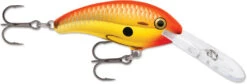 Rapala Shad Dancer SDD05 Medium Diving Crankbait 24 Rapala Shad Dancer SDD05 Medium Diving Crankbait -Fishing Promotion Store SDD CGFR