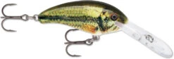 Rapala Shad Dancer SDD05 Medium Diving Crankbait 30 Rapala Shad Dancer SDD05 Medium Diving Crankbait -Fishing Promotion Store SDD LBL