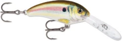 Rapala Shad Dancer SDD05 Medium Diving Crankbait 32 Rapala Shad Dancer SDD05 Medium Diving Crankbait -Fishing Promotion Store SDD RSL