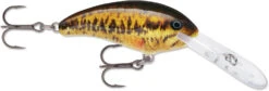 Rapala Shad Dancer SDD05 Medium Diving Crankbait 33 Rapala Shad Dancer SDD05 Medium Diving Crankbait -Fishing Promotion Store SDD SBL