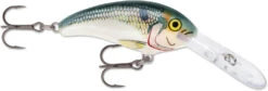 Rapala Shad Dancer SDD05 Medium Diving Crankbait 41 Rapala Shad Dancer SDD05 Medium Diving Crankbait -Fishing Promotion Store SDD SD
