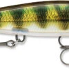 Rapala Shadow Rap 11 Jerkbait 1 Rapala Shadow Rap 11 Jerkbait -Fishing Promotion Store SDR PEL