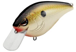 SPRO Hunter 65 SB Shallow Squarebill Crankbait 28 SPRO Hunter 65 SB Shallow Squarebill Crankbait -Fishing Promotion Store SEHTRSB65CPD CopperShad 27576a42 c052 4e72 a78d 551f46bab50a