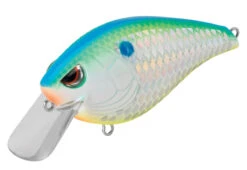 SPRO Hunter 65 SB Shallow Squarebill Crankbait 39 SPRO Hunter 65 SB Shallow Squarebill Crankbait -Fishing Promotion Store SEHTRSB65CSD CitrusShad b04981bd 884e 4dd4 ac9c 6eed21094869