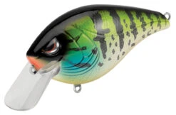 SPRO Hunter 65 SB Shallow Squarebill Crankbait 32 SPRO Hunter 65 SB Shallow Squarebill Crankbait -Fishing Promotion Store SEHTRSB65PPS PumpkinSeed