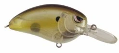 SPRO John Crews Little John MD 50 Crankbait 31 SPRO John Crews Little John MD 50 Crankbait -Fishing Promotion Store SLJM50CCH ClearChartreuse