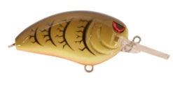 SPRO John Crews Little John MD 50 Crankbait 33 SPRO John Crews Little John MD 50 Crankbait -Fishing Promotion Store SLJM50GRP GreenPumpkin