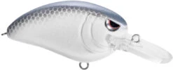 SPRO John Crews Little John MD 50 Crankbait 34 SPRO John Crews Little John MD 50 Crankbait -Fishing Promotion Store SLJM50LVS LavenderShad bc92fc99 ed28 4f91 97b0 63dd1c026014
