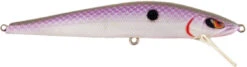 Spro Mike McClelland McStick 95 3.75 Inch Jerkbait 21 Spro Mike McClelland McStick 95 3.75 Inch Jerkbait -Fishing Promotion Store SMS95NFL NormanFlake