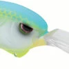 SPRO Outsider DD 80 Crankbait 2 SPRO Outsider DD 80 Crankbait -Fishing Promotion Store SOSCDD80CGM CitrusGlimmer