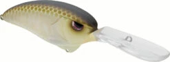 SPRO Outsider DD 80 Crankbait 21 SPRO Outsider DD 80 Crankbait -Fishing Promotion Store SOSCDD80RVG RiverGold