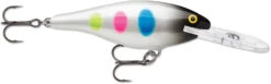 Rapala Shad Rap 3 1/2 Inch Deep Diving Crankbait SR09 24 Rapala Shad Rap 3 1/2 Inch Deep Diving Crankbait SR09 -Fishing Promotion Store SR09BWB d842d825 2b3f 447b a4cb 34c49c84d7b6