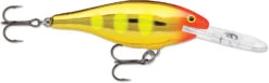 Rapala Shad Rap 3 1/2 Inch Deep Diving Crankbait SR09 39 Rapala Shad Rap 3 1/2 Inch Deep Diving Crankbait SR09 -Fishing Promotion Store SR09JLC 7e12972b f866 4229 9a89 b199865c99e0