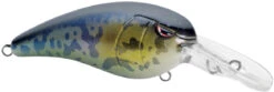 SPRO Mike McClelland RkCrawler MD 55 Medium Diving Crankbait 30 SPRO Mike McClelland RkCrawler MD 55 Medium Diving Crankbait -Fishing Promotion Store SRCMD55GBY Goby dd4a042b 83d9 4bd4 bfa0 d678dedf4295