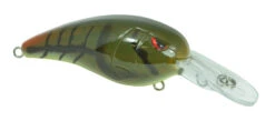 SPRO Mike McClelland RkCrawler MD 55 Medium Diving Crankbait 28 SPRO Mike McClelland RkCrawler MD 55 Medium Diving Crankbait -Fishing Promotion Store SRCMD55PGR 2