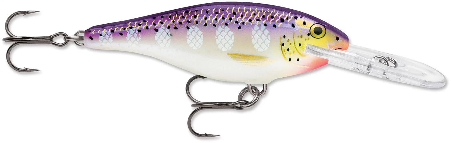 Rapala Shad Rap 2 1/2 Inch Medium Diving Crankbait SR06 22 Rapala Shad Rap 2 1/2 Inch Medium Diving Crankbait SR06 - Image 20