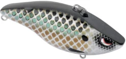 SPRO Wameku Shad 70 Lipless Crankbait 35 SPRO Wameku Shad 70 Lipless Crankbait -Fishing Promotion Store SWS70KLG KillerGill