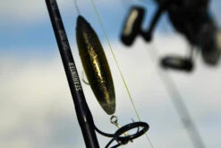Temple Fork Outfitters Seahunter Spinning Rods 25 Temple Fork Outfitters Seahunter Spinning Rods -Fishing Promotion Store Seahunter Bottom Banner 3 99a9073b 1467 4106 a835 1795aa8022a3