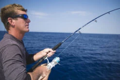 Temple Fork Outfitters Seahunter Spinning Rods 26 Temple Fork Outfitters Seahunter Spinning Rods -Fishing Promotion Store Seahunter Bottom Banner 5 26e996a0 9821 4303 b33c d8740b2a8591