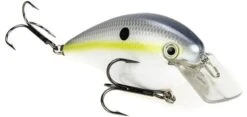 Strike King KVD Magnum Square Bill 8.0 Silent Crankbaits 35 Strike King KVD Magnum Square Bill 8.0 Silent Crankbaits -Fishing Promotion Store Sexy Shad 0041dfdf 88fb 4bd2 98bd dfa6f2506377