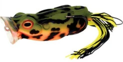 River2Sea Spittin' Wa 70 Topwater Frog 22 River2Sea Spittin' Wa 70 Topwater Frog -Fishing Promotion Store Spittinwa23 firebelly 6d9c9f7c 22f1 4c25 aa83 74a151dadd06
