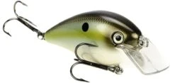 Strike King KVD Magnum Square Bill 8.0 Silent Crankbaits 36 Strike King KVD Magnum Square Bill 8.0 Silent Crankbaits -Fishing Promotion Store Summer Sexy Shad 3623d4eb ae13 4861 8c40 d7ddf2ba33a9
