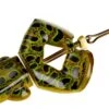 Rebel Buzz'n Frog 2 1/2 Inch Topwater Lure 1 Rebel Buzz'n Frog 2 1/2 Inch Topwater Lure -Fishing Promotion Store T460