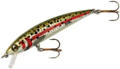 Rebel TD47 Tracdown Ghost Minnow 2 1/2 Inch Barbless Hard Minnow 10 Rebel TD47 Tracdown Ghost Minnow 2 1/2 Inch Barbless Hard Minnow -Fishing Promotion Store TD47540