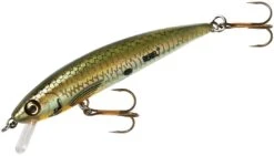 Rebel TD47 Tracdown Ghost Minnow 2 1/2 Inch Barbless Hard Minnow 11 Rebel TD47 Tracdown Ghost Minnow 2 1/2 Inch Barbless Hard Minnow -Fishing Promotion Store TD47542