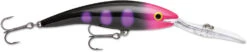 Rapala Deep Tail Dancer 09 Extra Deep Diving Crankbait 37 Rapala Deep Tail Dancer 09 Extra Deep Diving Crankbait -Fishing Promotion Store TDD BLKL 9b00419a a8f6 4ea8 b23e 377e3152c3d4
