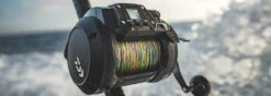 Daiwa Tanacom 1200 Power Assist Electric Dendoh Reel 14 Daiwa Tanacom 1200 Power Assist Electric Dendoh Reel -Fishing Promotion Store Tanacom4Spot