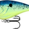 13 Fishing Warthog Squarebill Crankbait 1 13 Fishing Warthog Squarebill Crankbait -Fishing Promotion Store W60 4 31