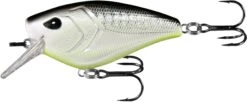 13 Fishing Warthog Squarebill Crankbait 35 13 Fishing Warthog Squarebill Crankbait -Fishing Promotion Store W60 4 38 80f0e766 ca0d 40e0 a7d0 0bad8edda900