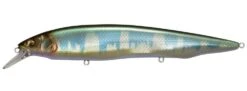 Megabass Kanata Jerkbait 26 Megabass Kanata Jerkbait -Fishing Promotion Store Wagin Hasu KT 5e065057 94aa 4b11 95e3 75e8bd13a292