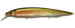 Megabass Kanata Jerkbait 27 Megabass Kanata Jerkbait -Fishing Promotion Store Wagin Niji 2 bbf58642 7ea6 4d65 aa6c 17c822687cc3