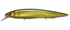 Megabass Kanata Jerkbait 30 Megabass Kanata Jerkbait -Fishing Promotion Store Wakin Golden Ayu 2 00b6ab4a 3def 4b45 9e52 f693f22d22f4