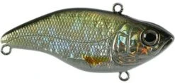 SPRO Aruku Shad Jr. Lipless Crankbait 35 SPRO Aruku Shad Jr. Lipless Crankbait -Fishing Promotion Store Wild Shiner 8103e372 3ba3 4bb4 bfe2 10f4f96473ff