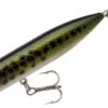 Heddon Zara Puppy 3 Inch Topwater Walker 2 Heddon Zara Puppy 3 Inch Topwater Walker -Fishing Promotion Store X9225BB