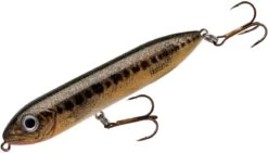 Heddon Super Spook Jr. 3 1/2 Inch Topwater Walker 28 Heddon Super Spook Jr. 3 1/2 Inch Topwater Walker -Fishing Promotion Store X9236HFB