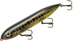 Heddon Super Spook 5 Inch Topwater Walker 24 Heddon Super Spook 5 Inch Topwater Walker -Fishing Promotion Store X9256HFB
